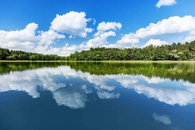 Фототапет – Природа през лятото