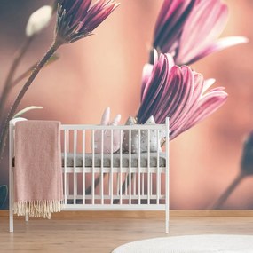Фототапет – Нежни розови цветя