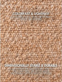 Бежов ръчно изработен килим от букле 200x290 cm Notting Hill Portobello – Ted Baker