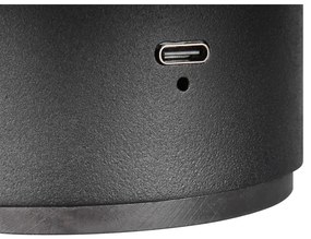 Матово черно LED стенна лампа с USB Davey – Trio