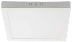 LED Плафониера LED/12W/230V 6500K 16,7x16,7 см бял