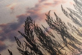 Картина на платно – Стъбла на полска трева