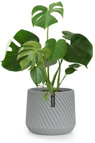 Fox & Fern Heusden, саксия за цветя, Полистоун, подходяща за растения, ръчна изработка