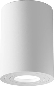 Maytoni Плафониера - C016CL-01W