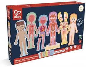 Образователен магнитен пъзел, Hape, човешко тяло, 68 части