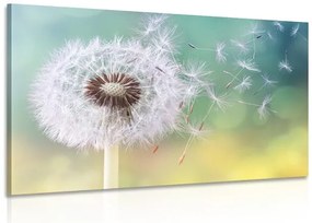 Картина на платно – Магическо глухарче