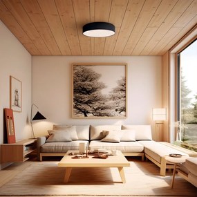 Черно LED осветително тяло за таван ø 60 cm - SULION