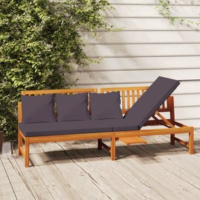 312145 vidaXL Дневно легло със сиви възглавници 200x60x75 см масивна акация