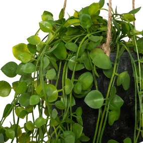 Изкуствено растение atmosphera Living, 10.5 cm
