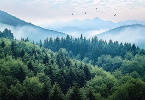 15630 - Горски пейзаж