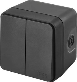 Домашен 2-клавишен превключвател, алтернативен, № 6+6, IP55, антрацит