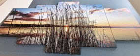 картини от 5 части – Спокойна река в село