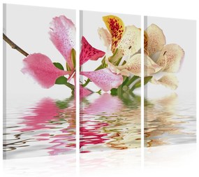 Платнен печат - Орхидея с цветни петна 60х40