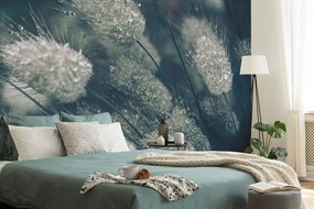 Фототапет – Капки роса на трева