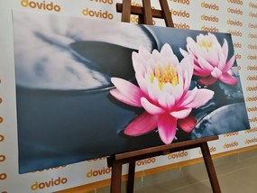 Картина на платно – Лотосов цвят в езеро