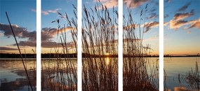 картини от 5 части – Спокойна река при село