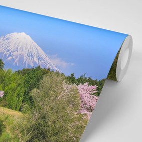 Фототапет – Вулкан Фуджи