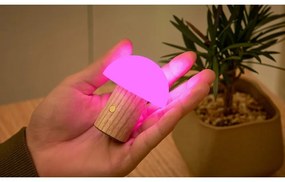 LED затъмняваща се настолна лампа от масивен ясен в естествен цвят (височина 7 cm) Alice – Gingko