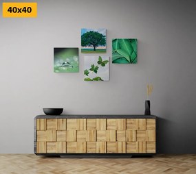 Комплект картини – Природа, пълна със зеленина