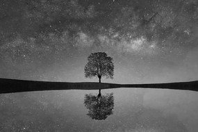 Фототапет – Черно-бяло звездно небе над самотно дърво
