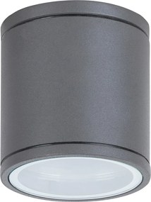 Rabalux Akron Външни таванни лампи (плафони) IP54 GU10 1x MAX 35W K 8150