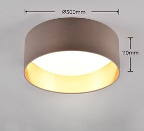 Светлокафяво LED осветление за таван ø 30 cm Locarno - Reality