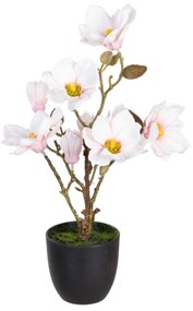 Декоративно Растение полиестер полиетилен Желязо 25 x 25 x 49 cm Magnolia