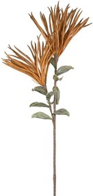Декоративно цвете Terracotta 1  (8 τεμάχια)