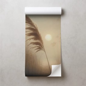 Самозалепващ тапет – Пампасна трева в сутрешна мъгла