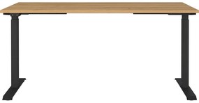 Работна маса с електрическо регулиране на височината с дъбов плот 80x160 cm Agenda – Germania
