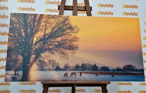 Картина на платно – Конете в заснежен пейзаж