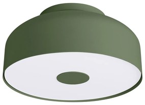 Зелено осветително тяло за таван Blacko – Sollux