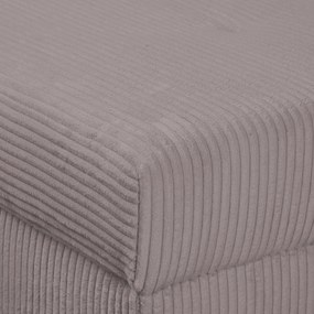 Ъглов диван от сив велур (десен ъгъл) Ariella - Ropez