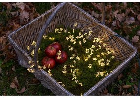 LED светлинна верига Зелена, дължина 200 cm Trille - Sirius