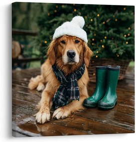 Картина на платно – Куче със зимна шапка