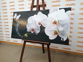 Картина на платно – Орхидея и пеперуда