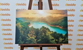 Картина на платно – Река в зелена гора