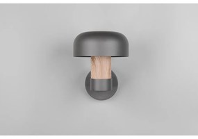 Стенно външно осветително тяло (височина 24,5 cm) Fraser – Trio