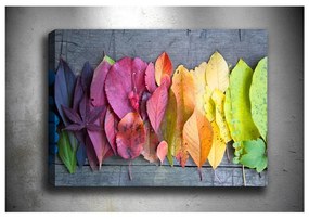 Живопис , 100 x 70 cm Autumn Palette - Tablo Center