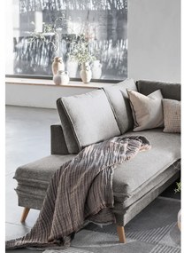 Сив сгъваем ъглов диван (ляв ъгъл) Charming Charlie – Miuform