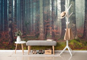 Самозалепващ фототапет – Тайна на гората