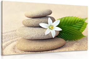 Картина на платно – Бял цвят и камъни в пясък