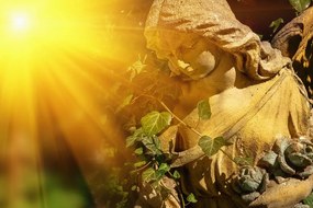 Картина на платно – Ангел с лъчи на слънцето