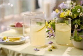 Стъклени чаши в комплект от 4 бр. 500 ml Palermo – Lyngby Glas