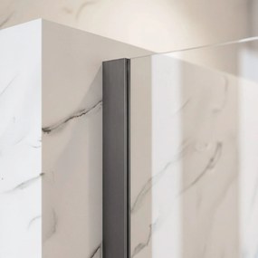 Параван за душ Rea Flexi Transparent / Titan 110