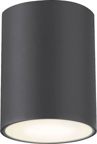 Rabalux Zombor Външни таванни лампи (плафони) IP54 GU10 1x MAX 35W K 7819