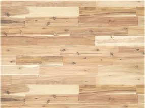 3279684 vidaXL Плот за баня, необработен, 100x60x4 см, масивно дърво акация