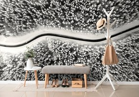 Самозалепващ фототапет – Изглед към зимен черно-бял пейзаж