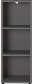 Антрацитна етажерка за книги 45x120 cm Agenda - Germania