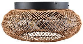 Кафяво осветително тяло за таван с дистанционно управление/с вентилатор Lillesand – Trio